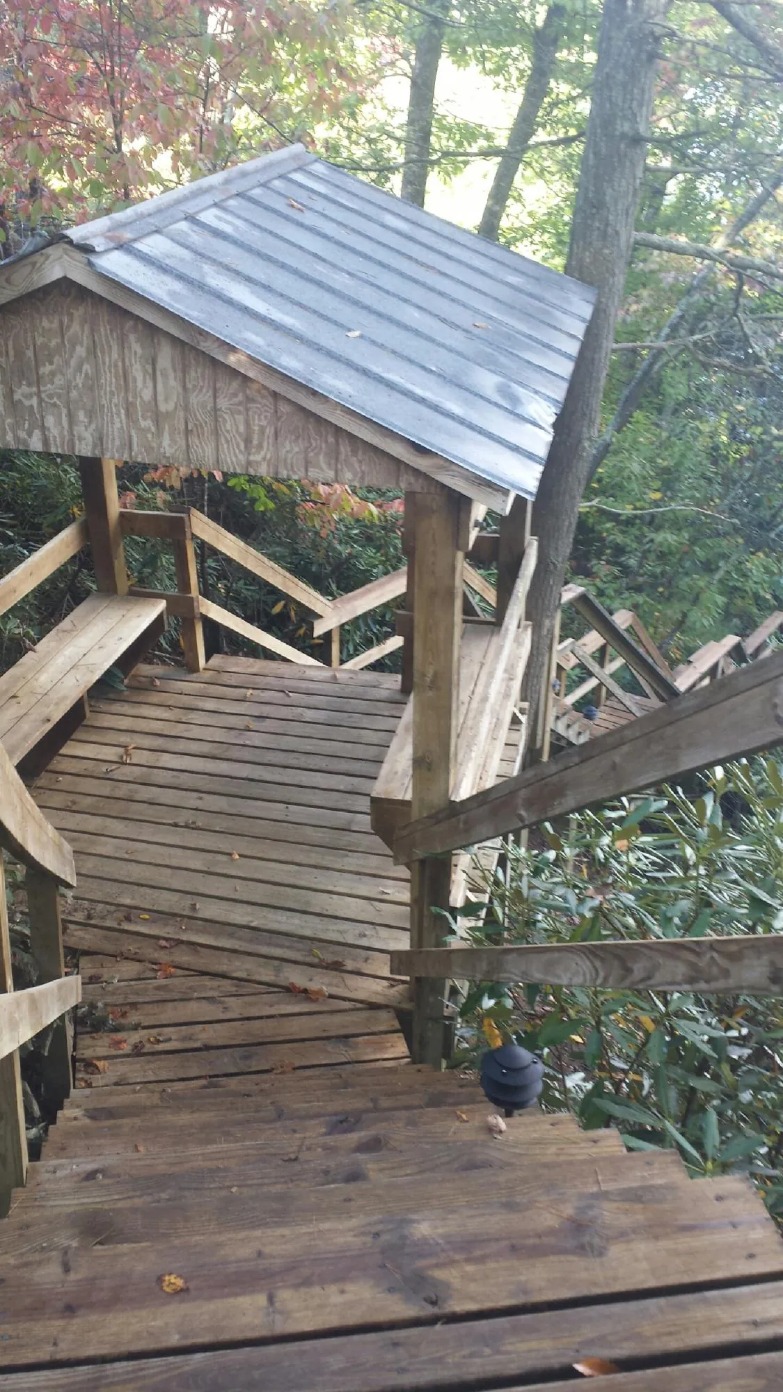 Metal roofed shelter over wooden steps on a wooded walkway — Skylight Repair & Installation work by our crew in Crawfordville